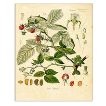 Load image into Gallery viewer, art bedroom decor