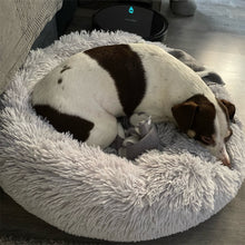 Load image into Gallery viewer, Super Soft Dog Bed