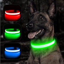 Load image into Gallery viewer, Collar Night Anti-Lost Dog