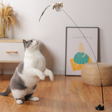 Load image into Gallery viewer, Simulation Bird interactive Cat Toy
